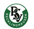 PSV-Logo